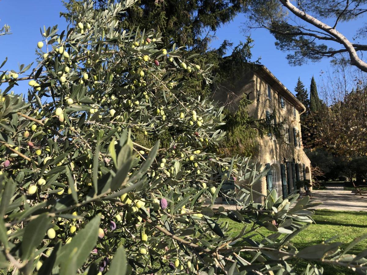 Desir De Provence Acomodação com café da manhã Sarrians Exterior foto